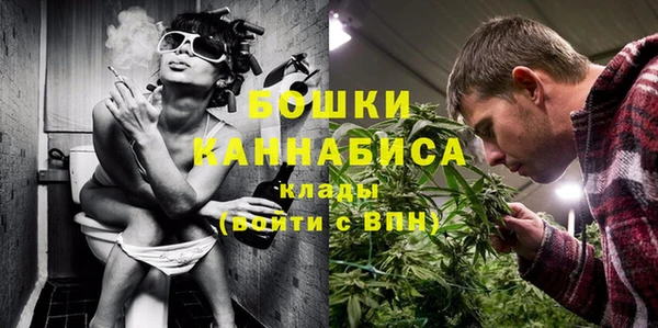 шишки Покров