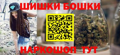 гашик Будённовск