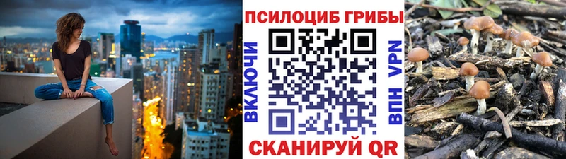 Галлюциногенные грибы прущие грибы  omg зеркало  Ейск  где купить  