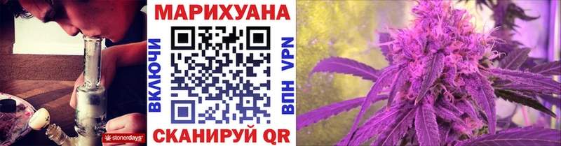 Канабис сатива  Ейск 